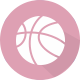 斯维尔斯堡 logo
