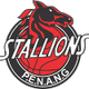 槟城宝马女篮 logo