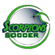 蝎SC女足 logo