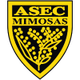 ASEC米莫萨女足 logo