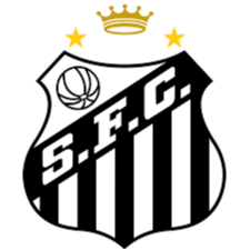 南非桑托斯女足 logo