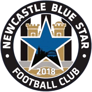纽卡素蓝星 logo