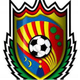 塔韦尔内斯夫兰克斯女子 logo